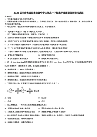 2025届河南省辉县市高级中学生物高一下期末学业质量监测模拟试题含解析