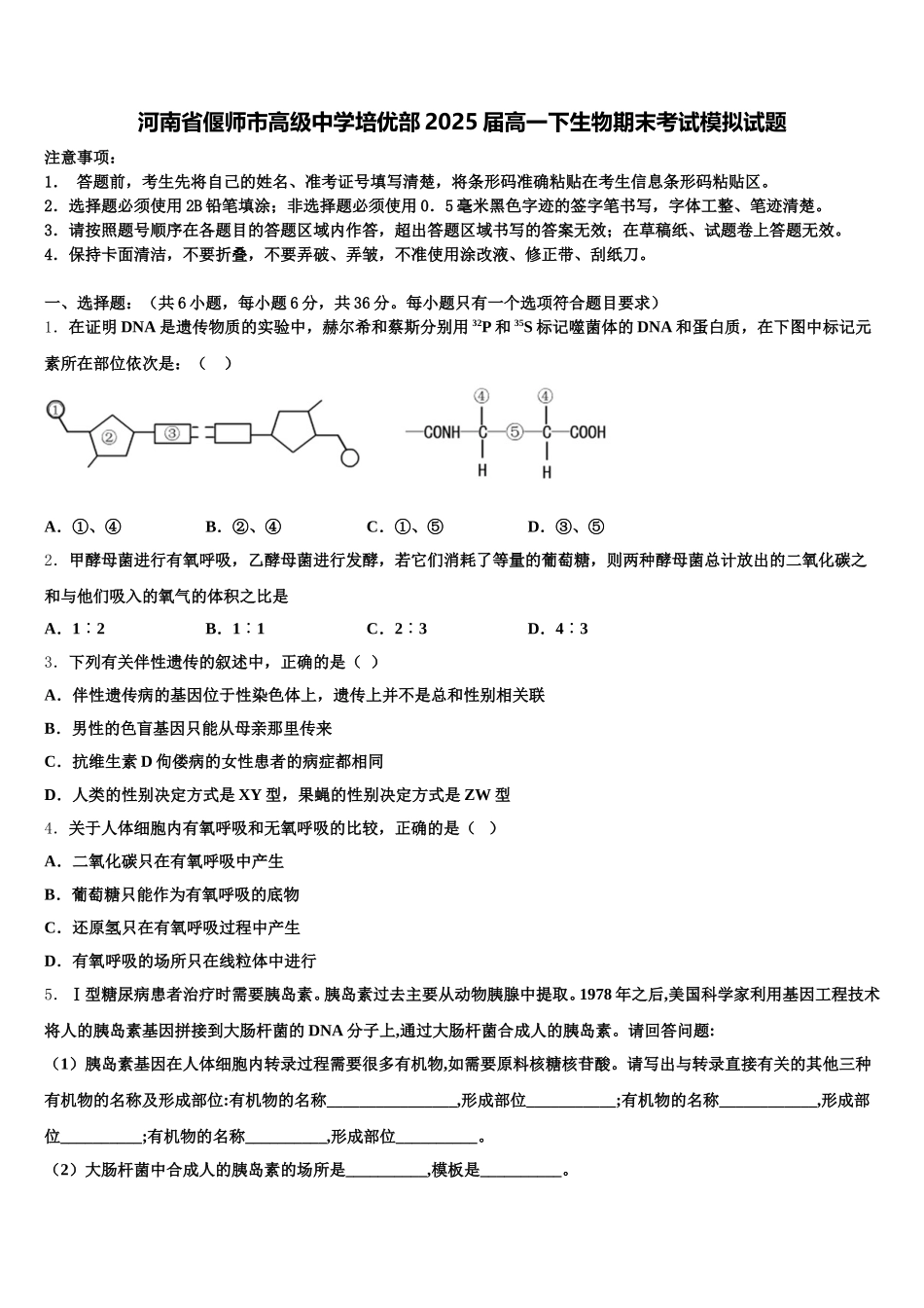 河南省偃师市高级中学培优部2025届高一下生物期末考试模拟试题含解析_第1页