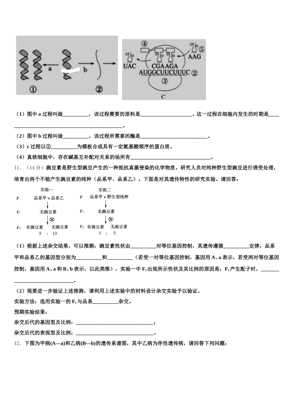 河南省郸城县第二高级中学2025年高一下生物期末学业水平测试试题含解析_第3页