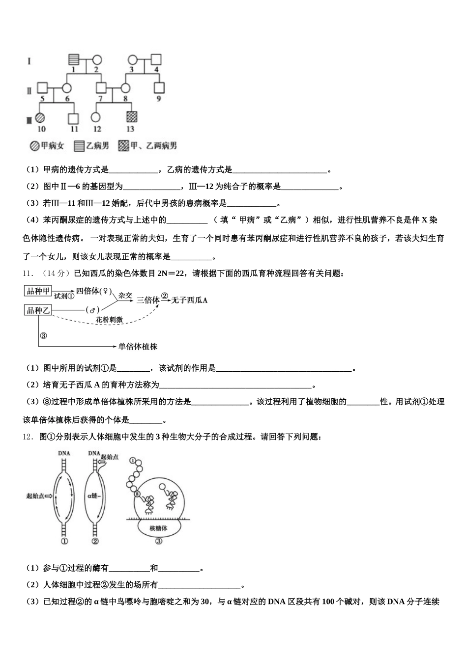 2025年河南省安阳一中生物高一第二学期期末监测试题含解析_第3页