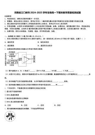 河南省三门峡市2024-2025学年生物高一下期末教学质量检测试题含解析