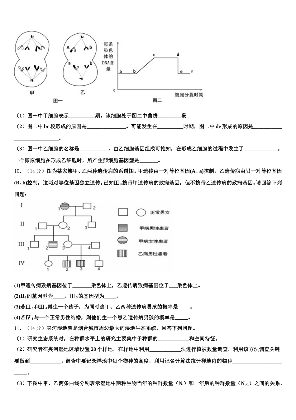 河南省洛阳市2024-2025学年生物高一下期末联考模拟试题含解析_第3页