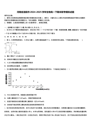 河南省洛阳市2024-2025学年生物高一下期末联考模拟试题含解析