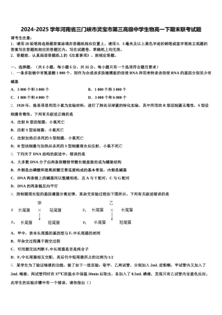 2024-2025学年河南省三门峡市灵宝市第三高级中学生物高一下期末联考试题含解析