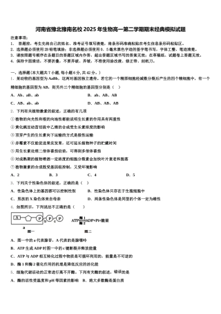 河南省豫北豫南名校2025年生物高一第二学期期末经典模拟试题含解析