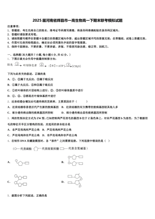 2025届河南省辉县市一高生物高一下期末联考模拟试题含解析
