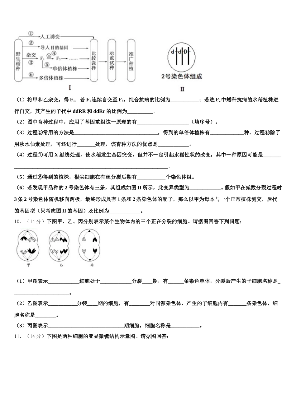2025年河南省郑州中学生物高一下期末监测模拟试题含解析_第3页