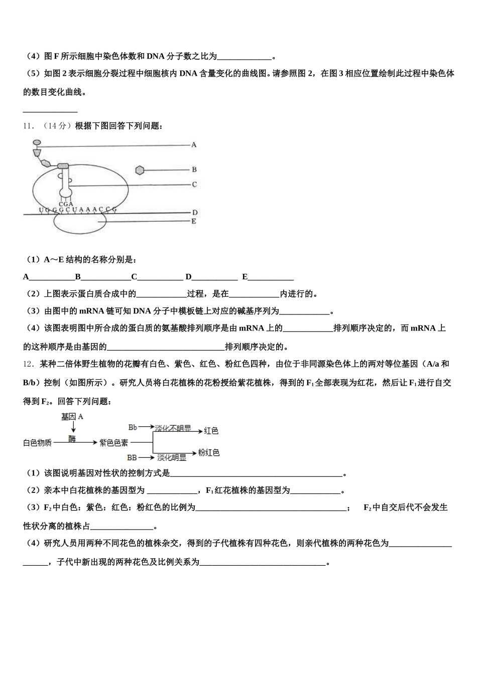 2025届河南南阳市第一中学高一下生物期末教学质量检测模拟试题含解析_第3页