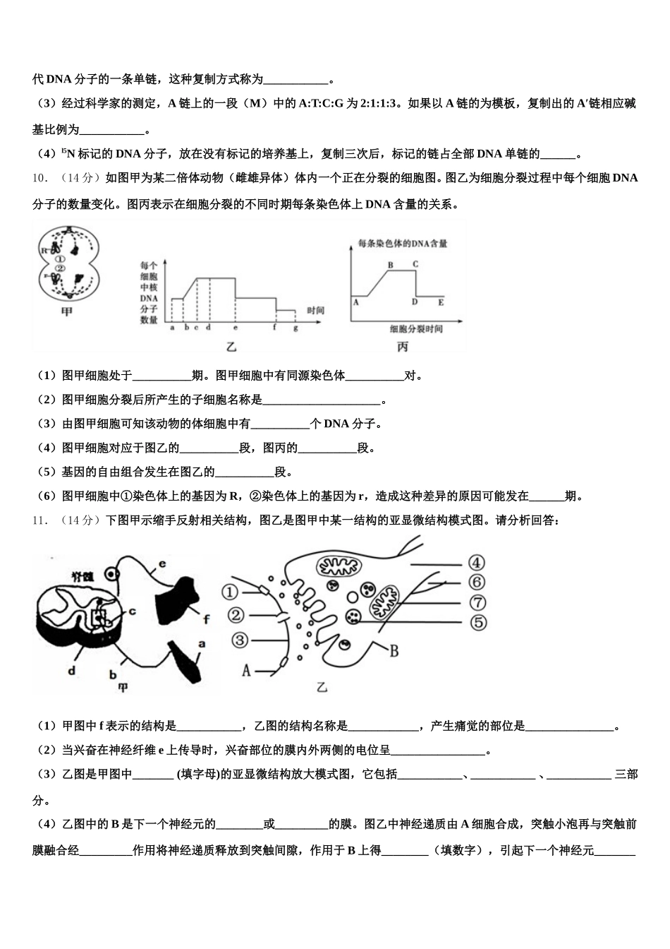 2025年河南省西华县第一高级中学高一生物第二学期期末联考试题含解析_第3页