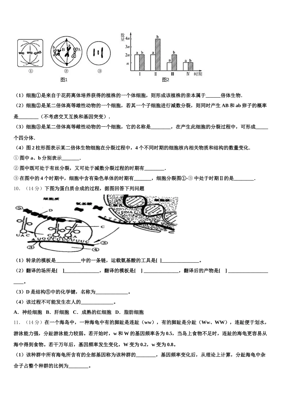 2024-2025学年河南省林州一中生物高一下期末检测模拟试题含解析_第3页