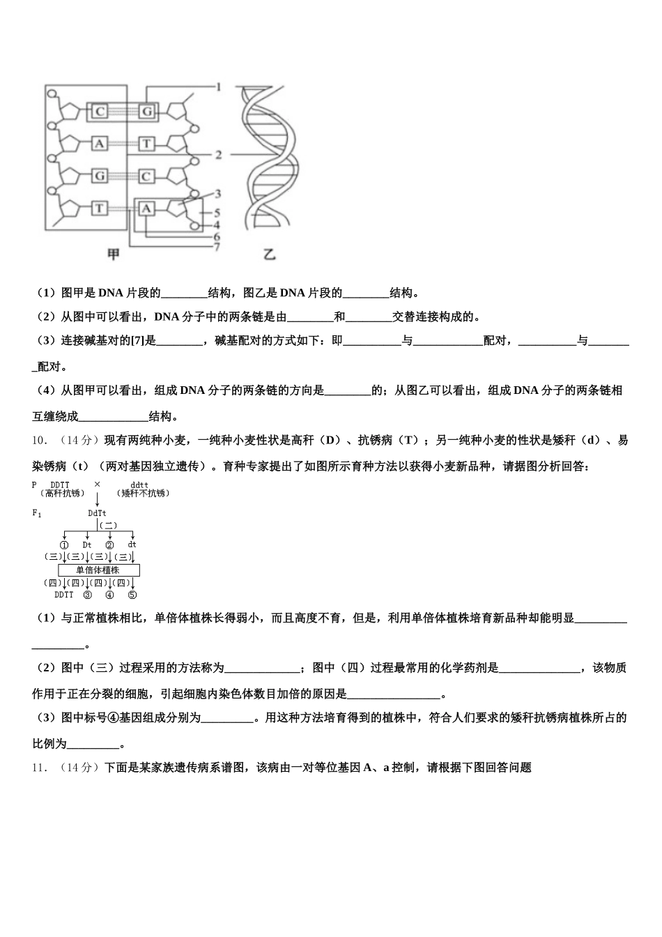 2024-2025学年河南省豫北地区重点中学生物高一第二学期期末监测模拟试题含解析_第3页