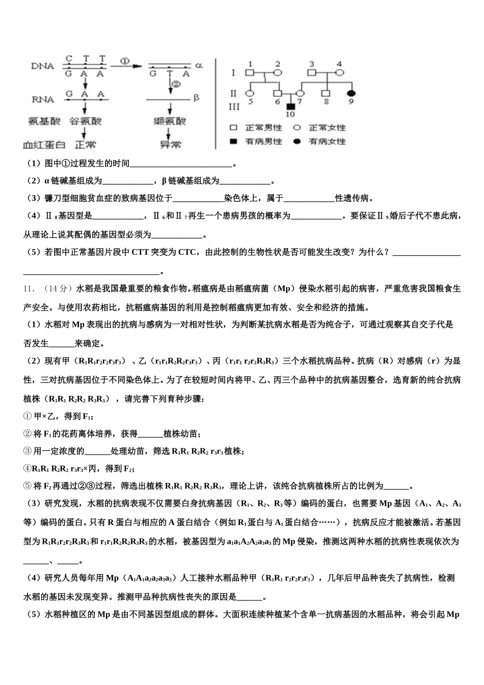 2025年河南省安阳市第一中学高一生物第二学期期末学业水平测试试题含解析_第3页