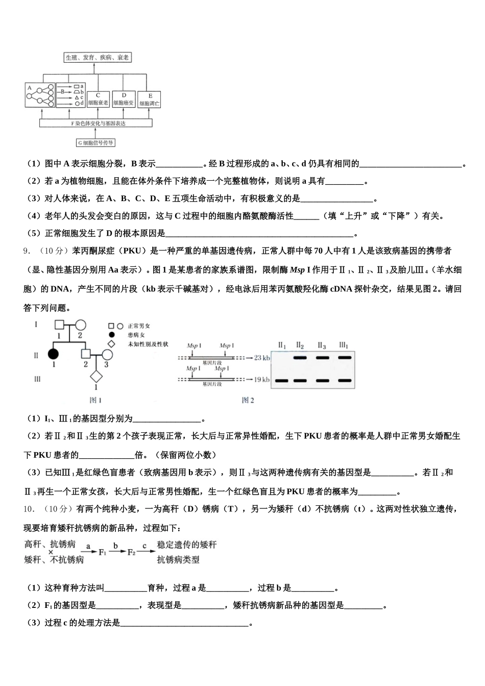 三门峡市重点中学2025届生物高一第二学期期末学业水平测试试题含解析_第3页