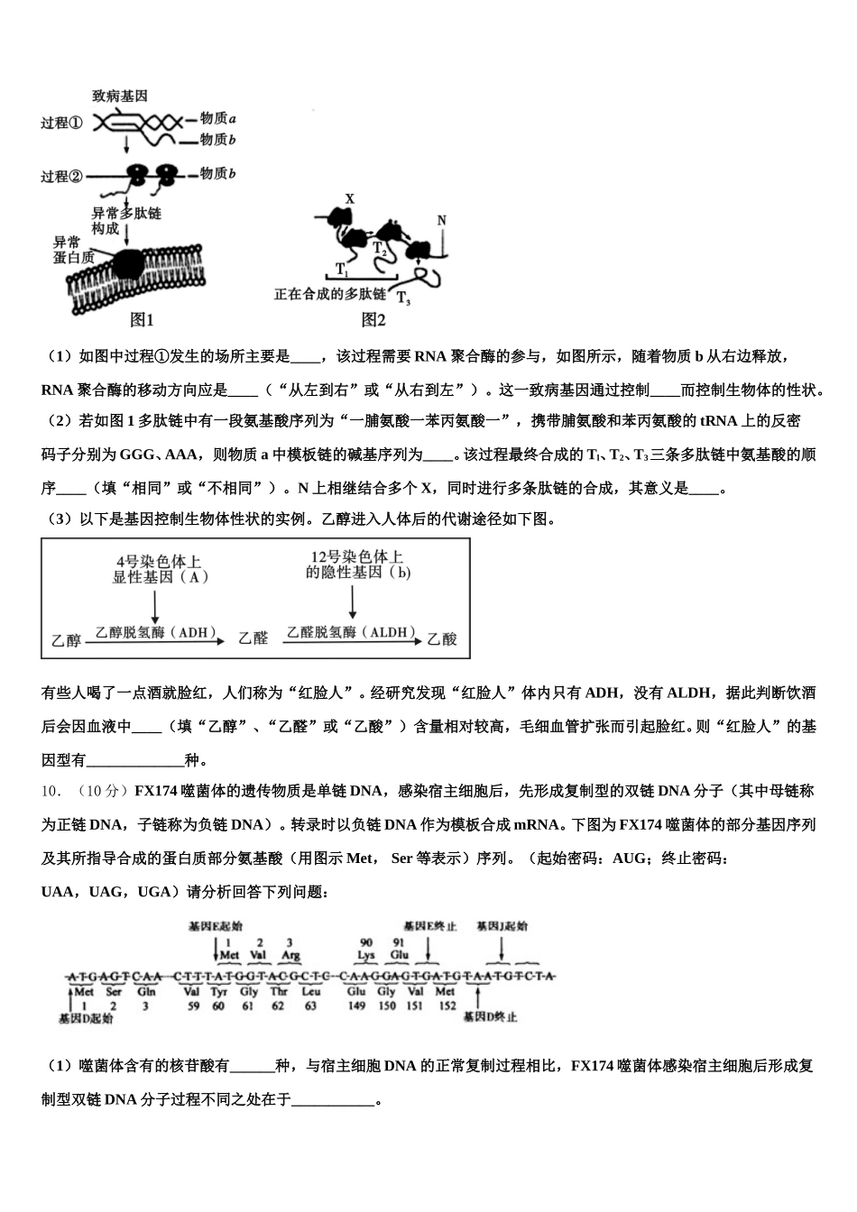 2024-2025学年河南省开封市、商丘市九校高一生物第二学期期末联考模拟试题含解析_第3页