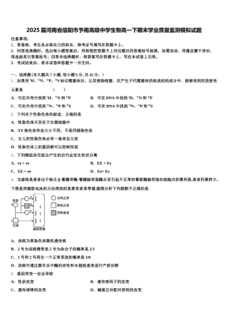 2025届河南省信阳市予南高级中学生物高一下期末学业质量监测模拟试题含解析