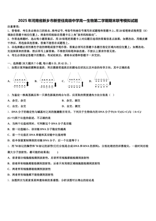 2025年河南省新乡市新誉佳高级中学高一生物第二学期期末联考模拟试题含解析