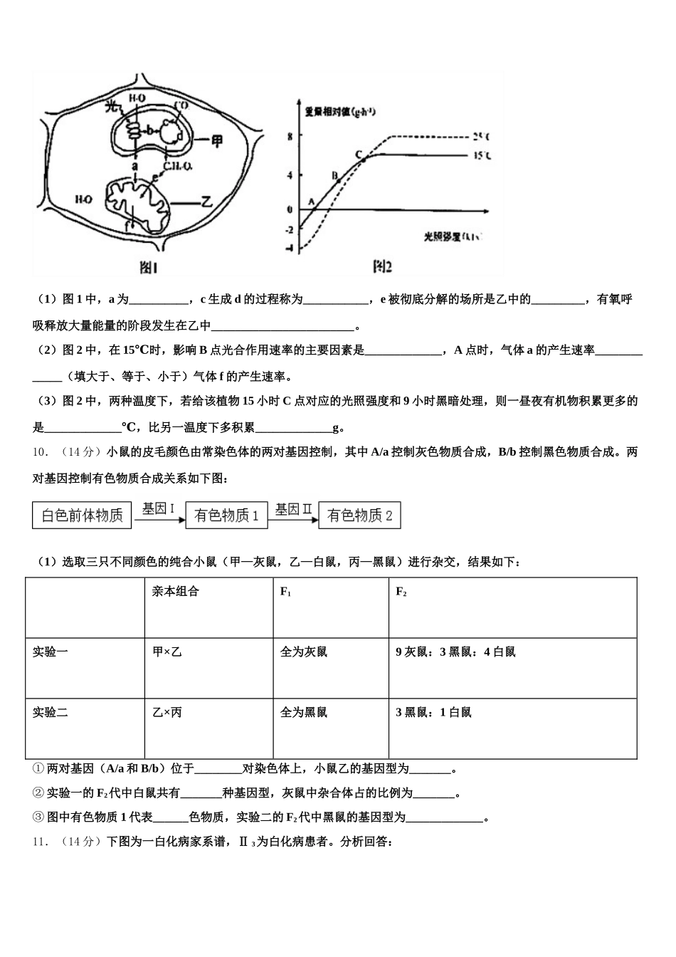 2024-2025学年河南省淮阳第一高级中学高一下生物期末学业质量监测模拟试题含解析_第3页