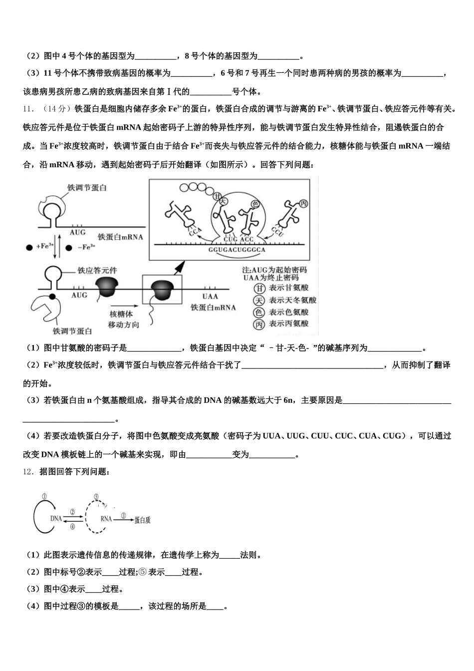 2024-2025学年河南省许昌市建安区第三高中生物高一下期末预测试题含解析_第3页