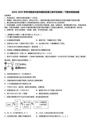 2024-2025学年河南省许昌市建安区第三高中生物高一下期末预测试题含解析