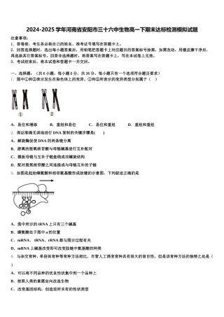 2024-2025学年河南省安阳市三十六中生物高一下期末达标检测模拟试题含解析