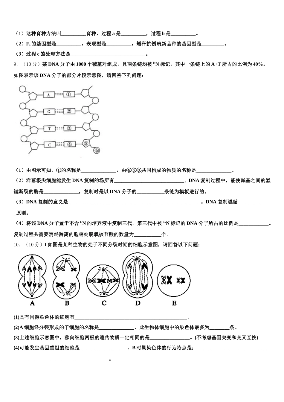 2025年河南省开封高级中学生物高一下期末教学质量检测试题含解析_第3页