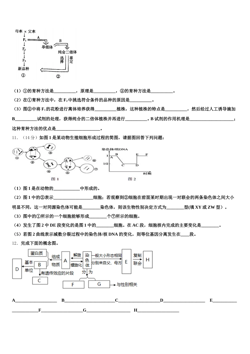 2025届河南省八市重点高中联盟高一下生物期末学业水平测试试题含解析_第3页
