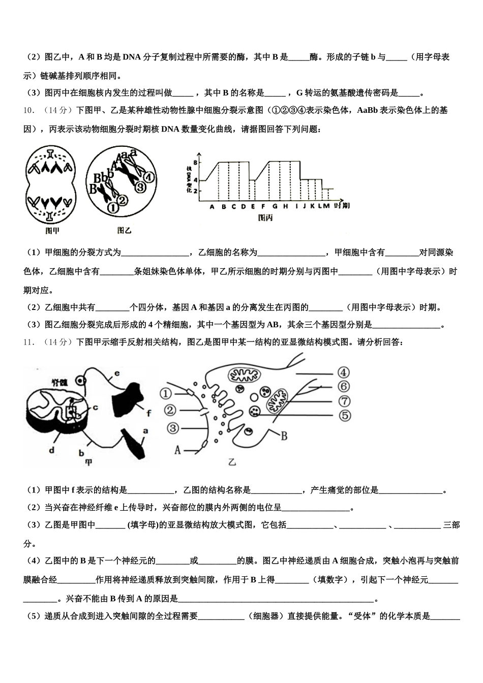 2025年河南省新乡市重点初中高一生物第二学期期末教学质量检测试题含解析_第3页