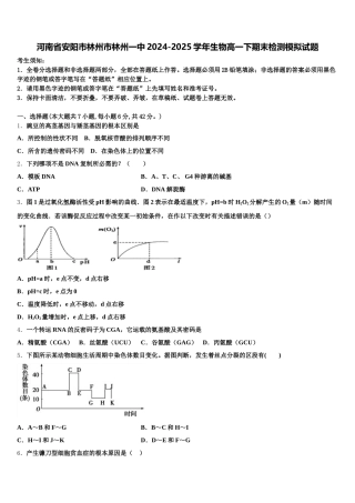 河南省安阳市林州市林州一中2024-2025学年生物高一下期末检测模拟试题含解析