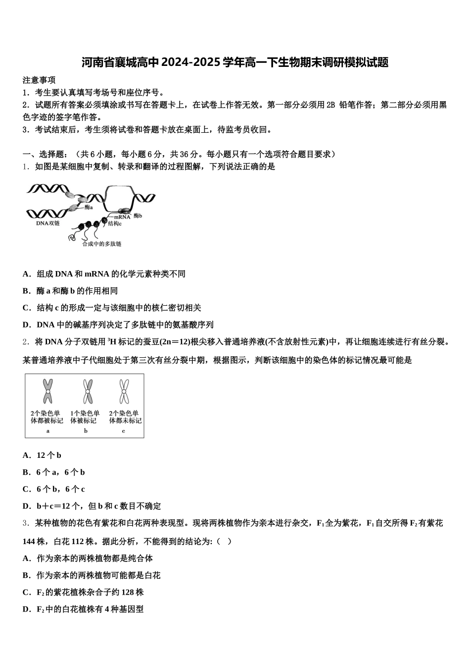 河南省襄城高中2024-2025学年高一下生物期末调研模拟试题含解析_第1页