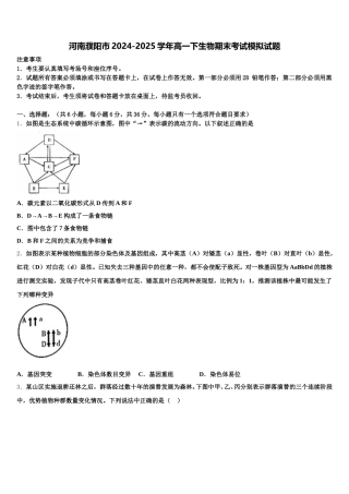 河南濮阳市2024-2025学年高一下生物期末考试模拟试题含解析