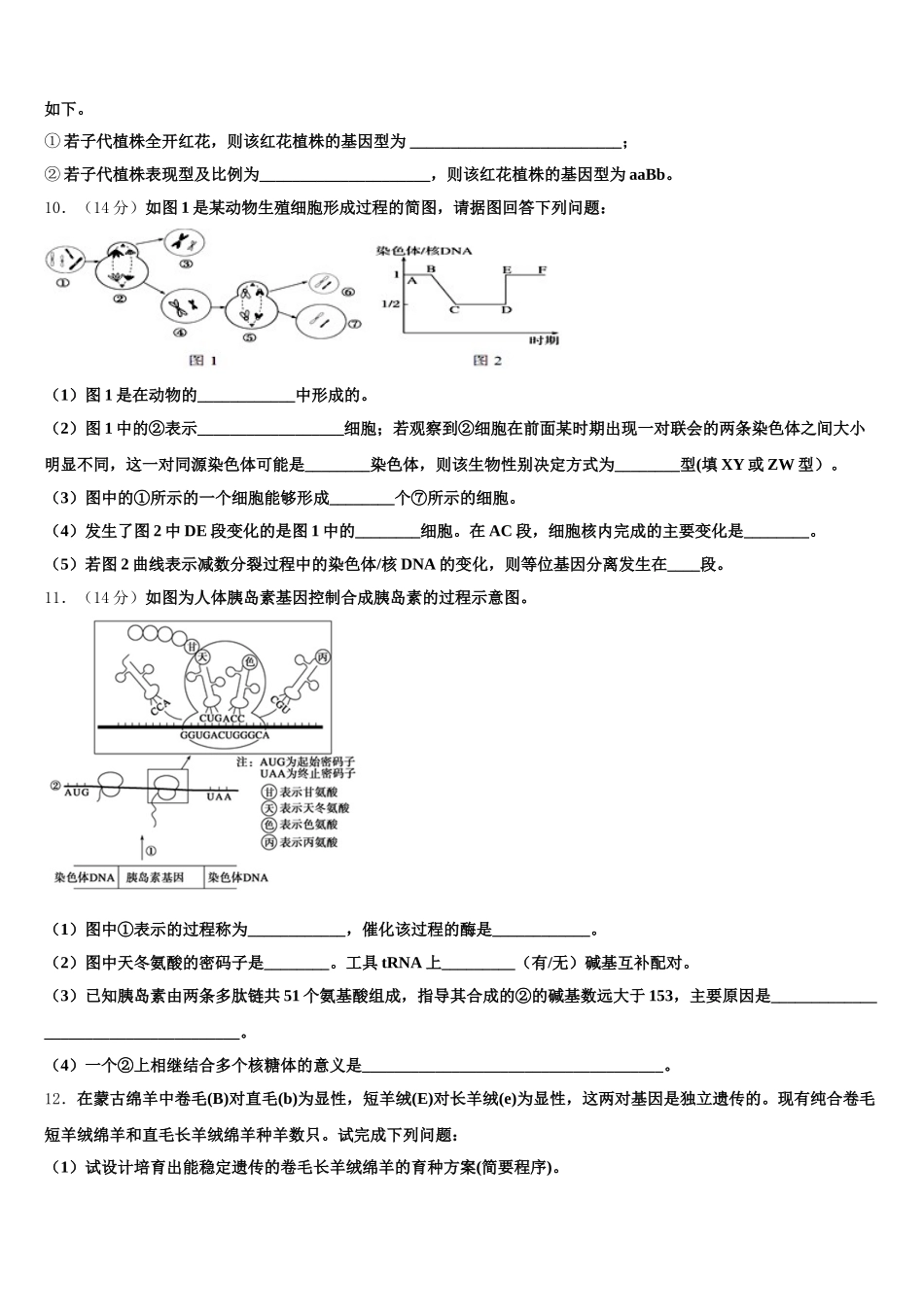 河南省濮阳县第一中学2024-2025学年高一下生物期末质量跟踪监视模拟试题含解析_第3页
