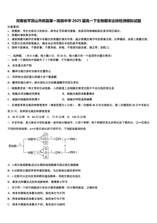 河南省平顶山市郏县第一高级中学2025届高一下生物期末达标检测模拟试题含解析