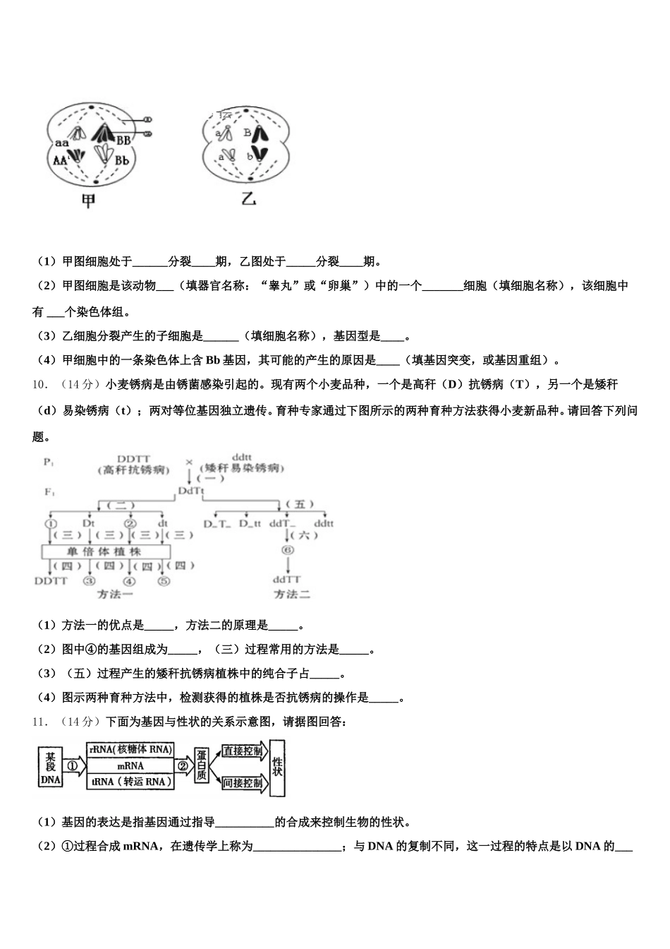 河南省郑州高新技术产业开发区第一中学2024-2025学年高一下生物期末学业质量监测模拟试题含解析_第3页