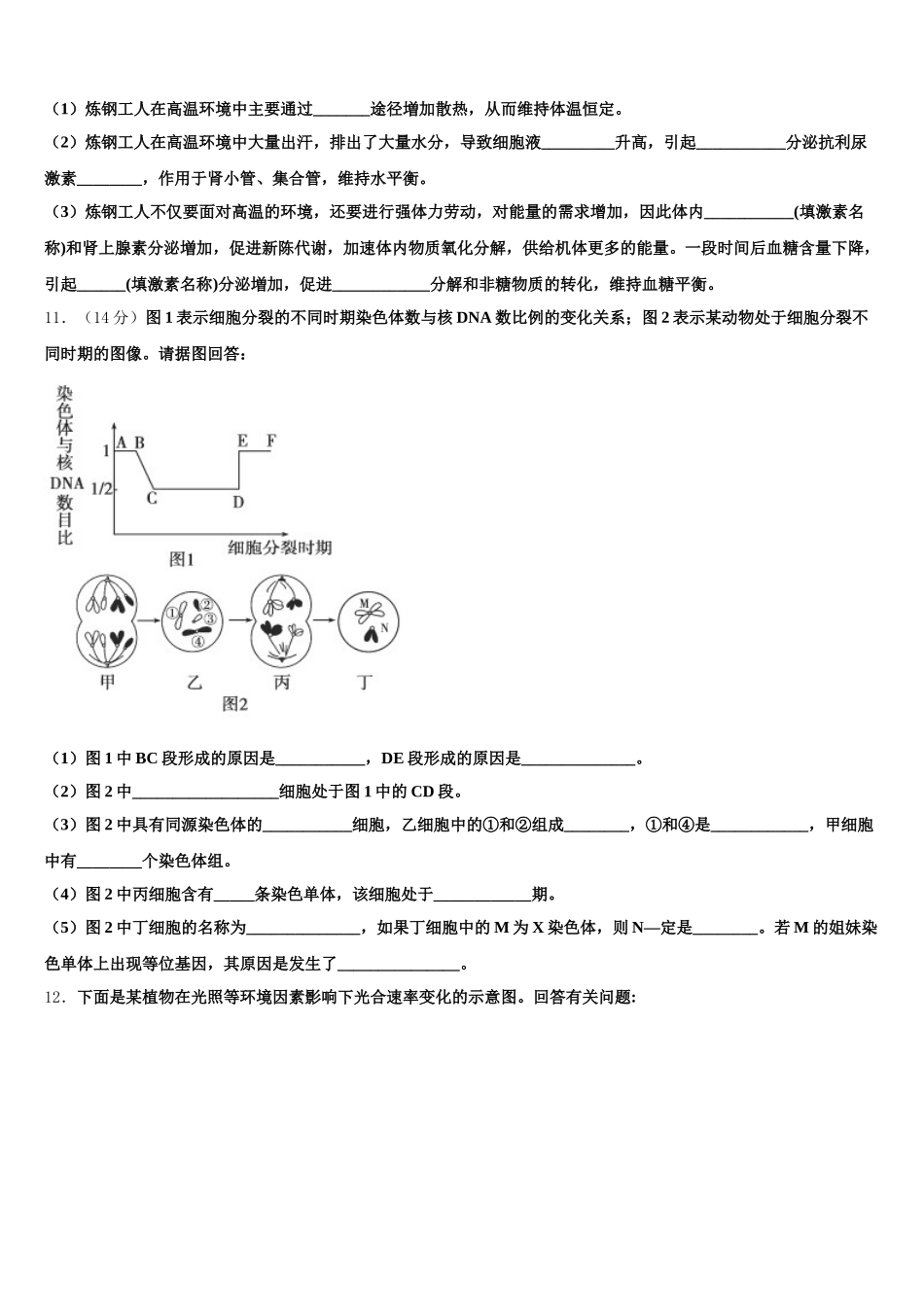 2025届河南省鹤壁一中高一生物第二学期期末学业水平测试模拟试题含解析_第3页