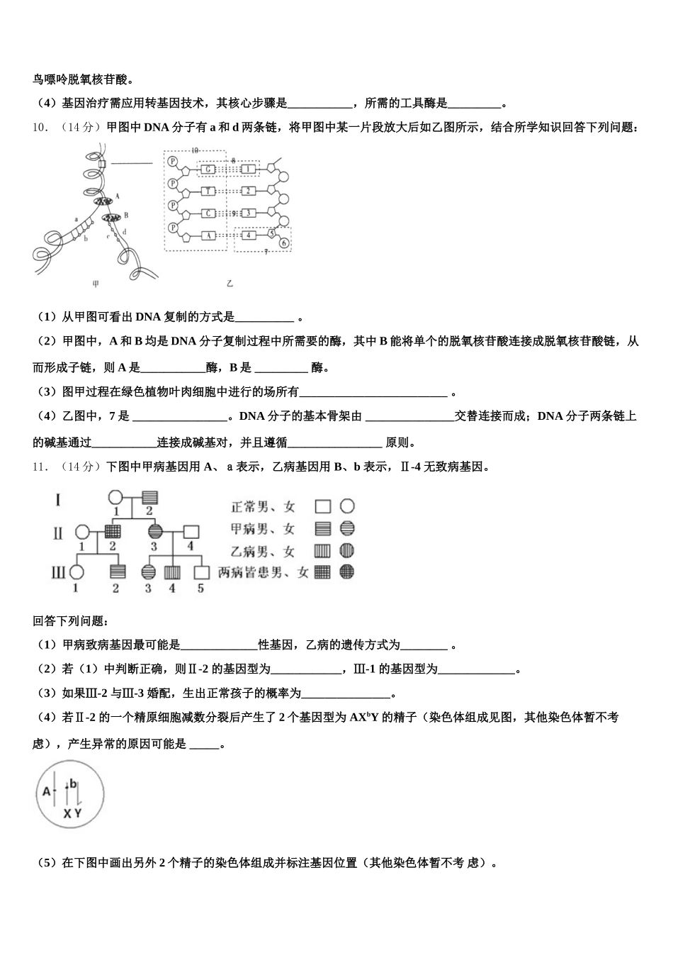 2024-2025学年河南省重点高中高一生物第二学期期末监测模拟试题含解析_第3页