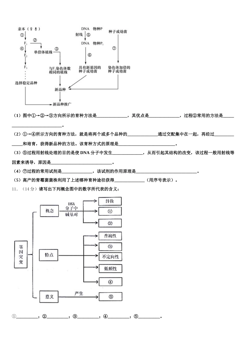 河南省鹤壁市浚县第二高级中学2024-2025学年高一生物第二学期期末学业水平测试模拟试题含解析_第3页