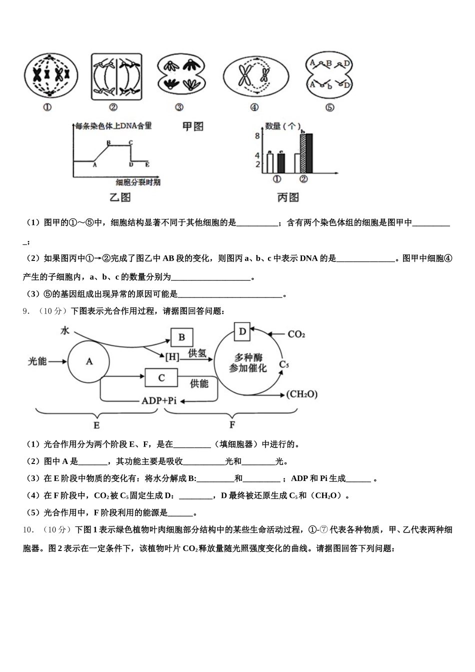 2025届河南洛阳名校高一下生物期末达标测试试题含解析_第3页
