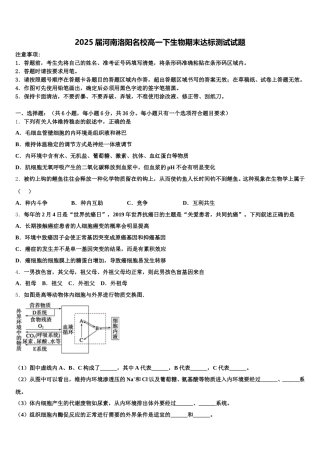 2025届河南洛阳名校高一下生物期末达标测试试题含解析