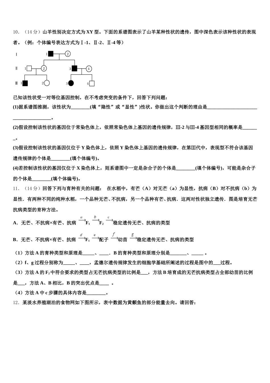 河南省洛阳市第一高级中学2025年高一下生物期末检测试题含解析_第3页