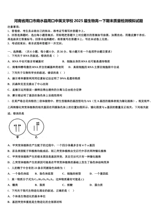 河南省周口市商水县周口中英文学校2025届生物高一下期末质量检测模拟试题含解析