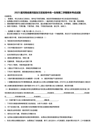 2025届河南省唐河县友兰实验高中高一生物第二学期期末考试试题含解析