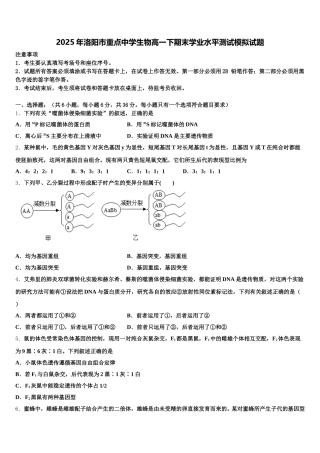 2025年洛阳市重点中学生物高一下期末学业水平测试模拟试题含解析