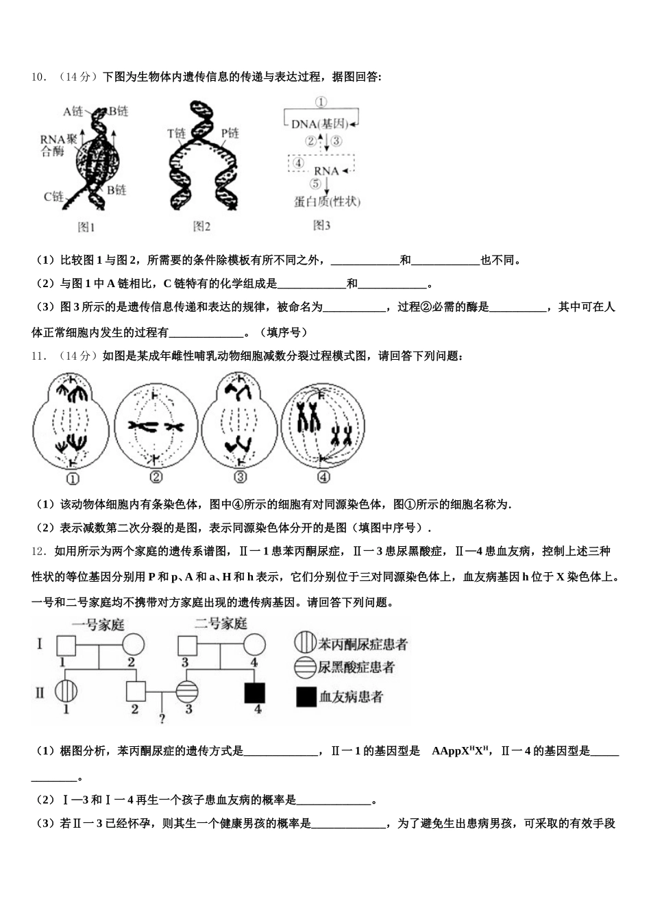 河南省卢氏实验高中2024-2025学年生物高一第二学期期末考试试题含解析_第3页