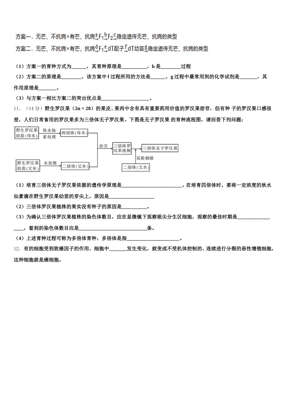 2025届河南省郑州市河南实验中学高一下生物期末综合测试试题含解析_第3页