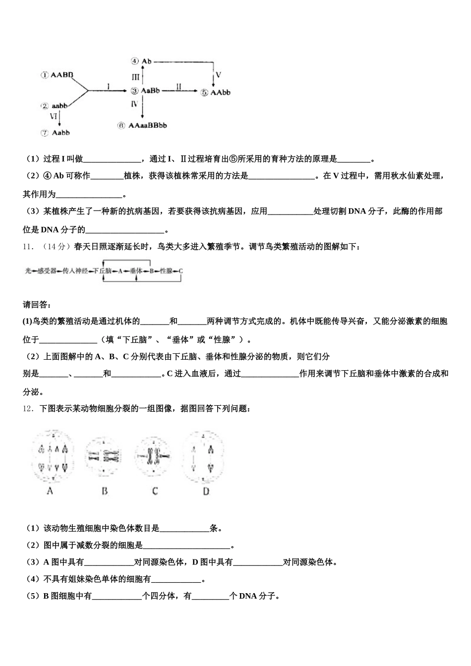 2024-2025学年河南省信阳市第四高级中学高一下生物期末联考试题含解析_第3页