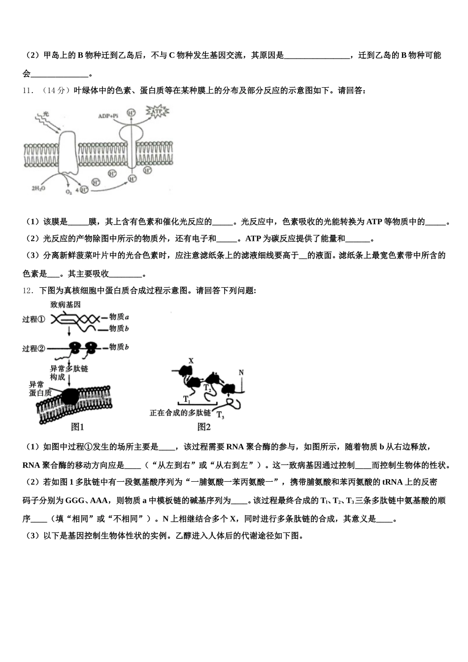 2025届河南省南阳市内乡县高中生物高一第二学期期末监测试题含解析_第3页