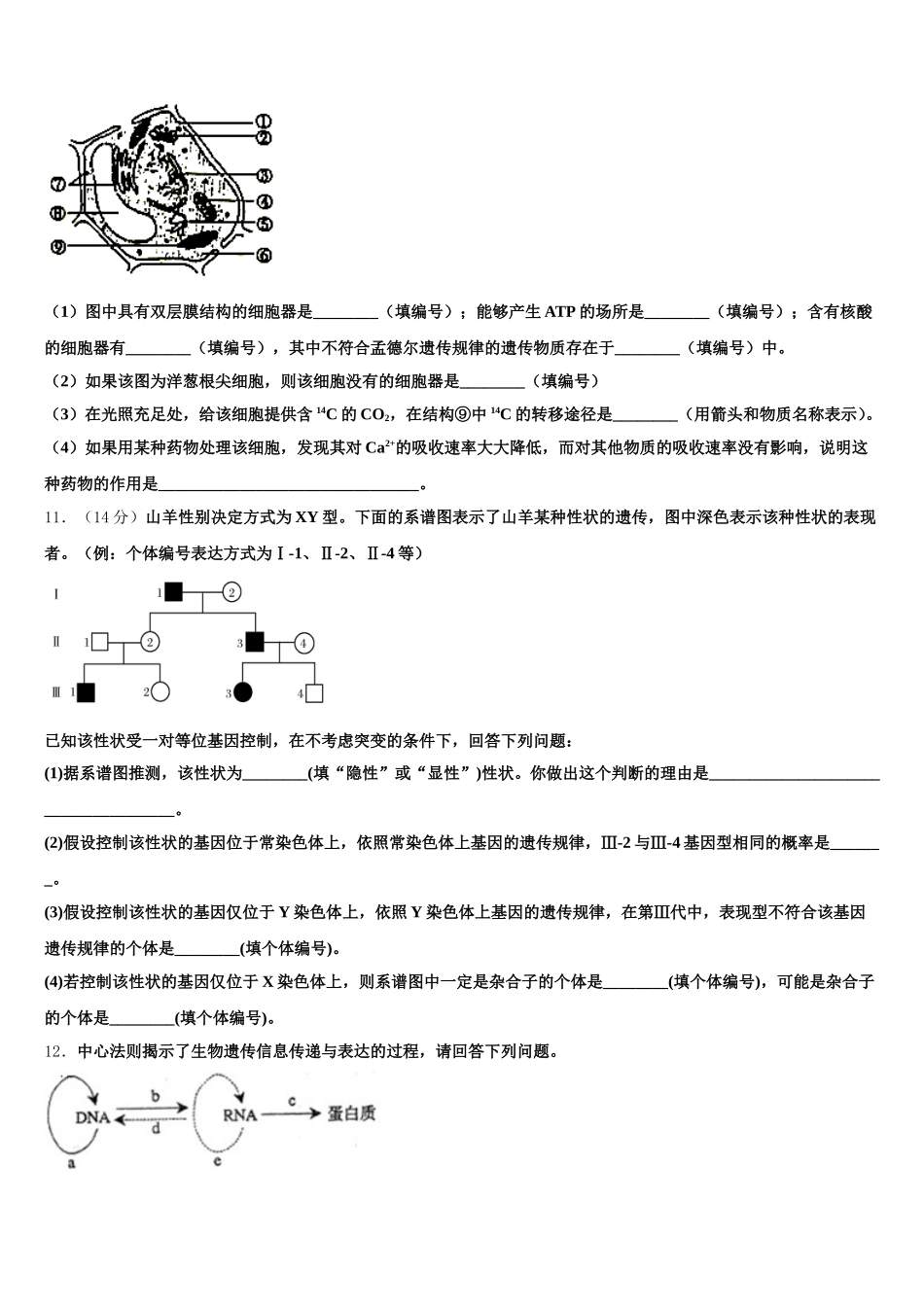 河南南阳华龙区高级中学2024-2025学年生物高一下期末联考试题含解析_第3页