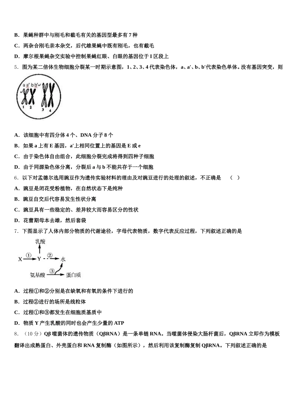 河南省济源第一中学2025届高一下生物期末质量跟踪监视试题含解析_第2页