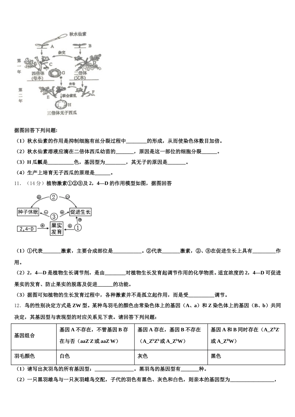 2025届河南省名校联考高一生物第二学期期末综合测试模拟试题含解析_第3页