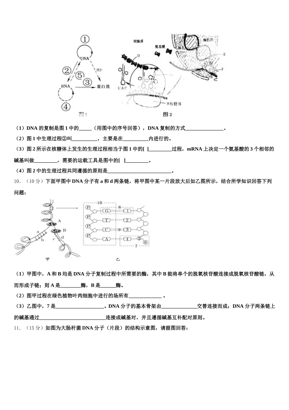 2025年河南省沁阳市第一中学生物高一第二学期期末学业质量监测试题含解析_第3页